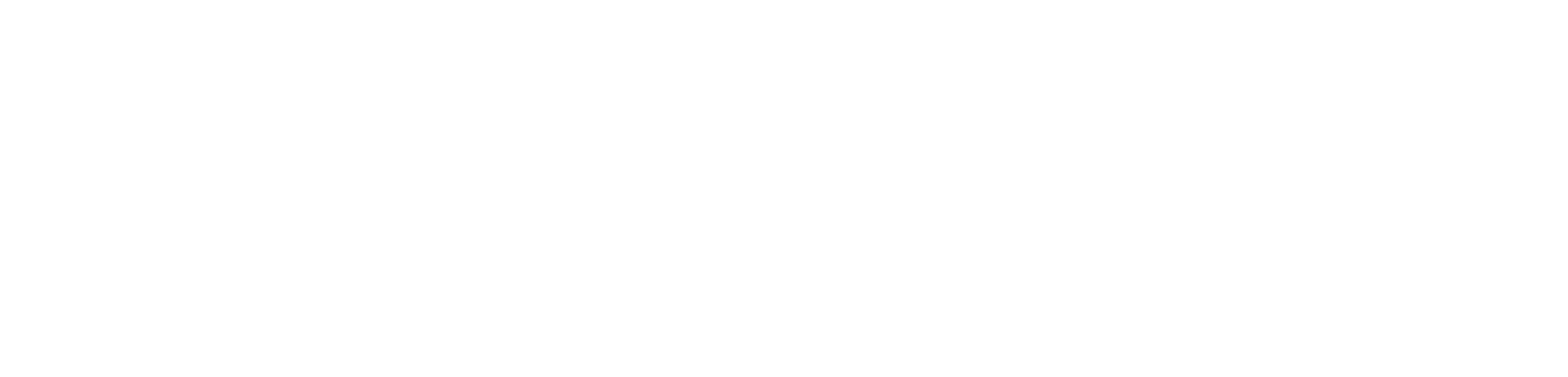 Bergisch eCommerce GmbH Demo
